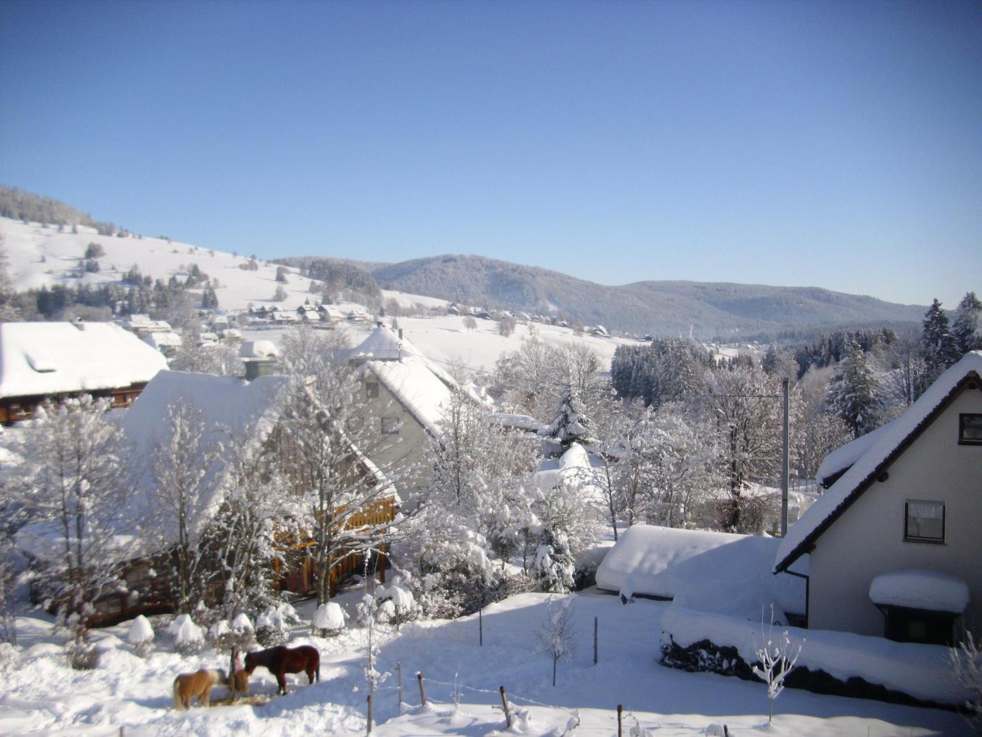 Beautiful Apartment In A Black Forest House With Conservatory Бернау  Экстерьер фото